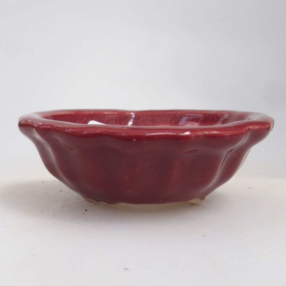 Mini-Bonsaischale 5 x 5 x 1,5 cm, Farbe burgunderrot