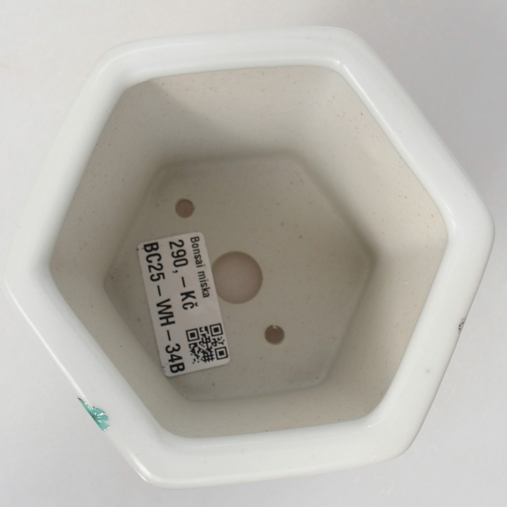 Bonsaischale aus Keramik 10,5 x 9,5 x 9 cm, Farbe weiß