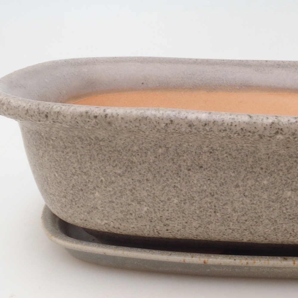 Bonsaischale + Untertasse H09 - 30 x 23 x 7,5 cm - beige