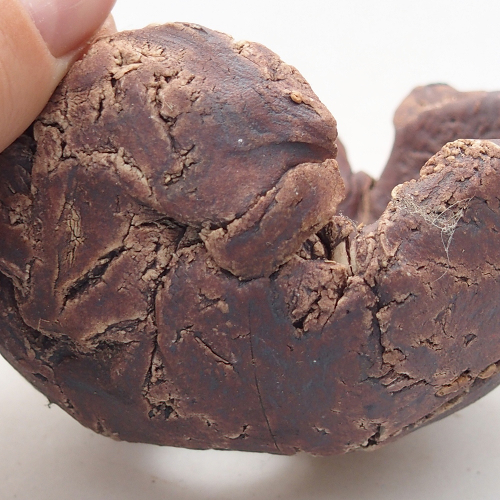 Keramikschale 10 x 9 x 5,5 cm , Farbe braun