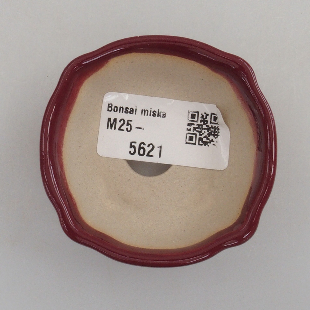 Mini-Bonsaischale 6 x 6 x 2,5 cm, bordeauxrot