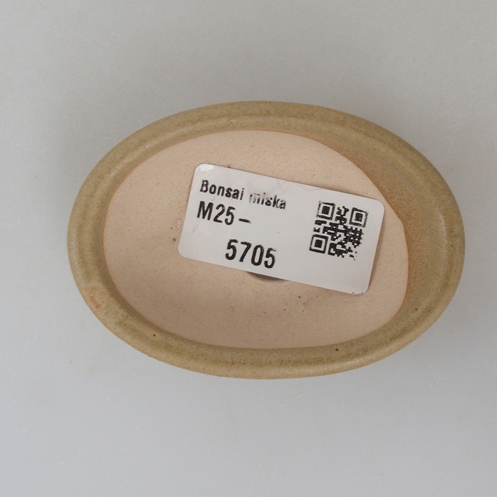 Mini-Bonsaischale 7 x 5 x 2 cm, braun