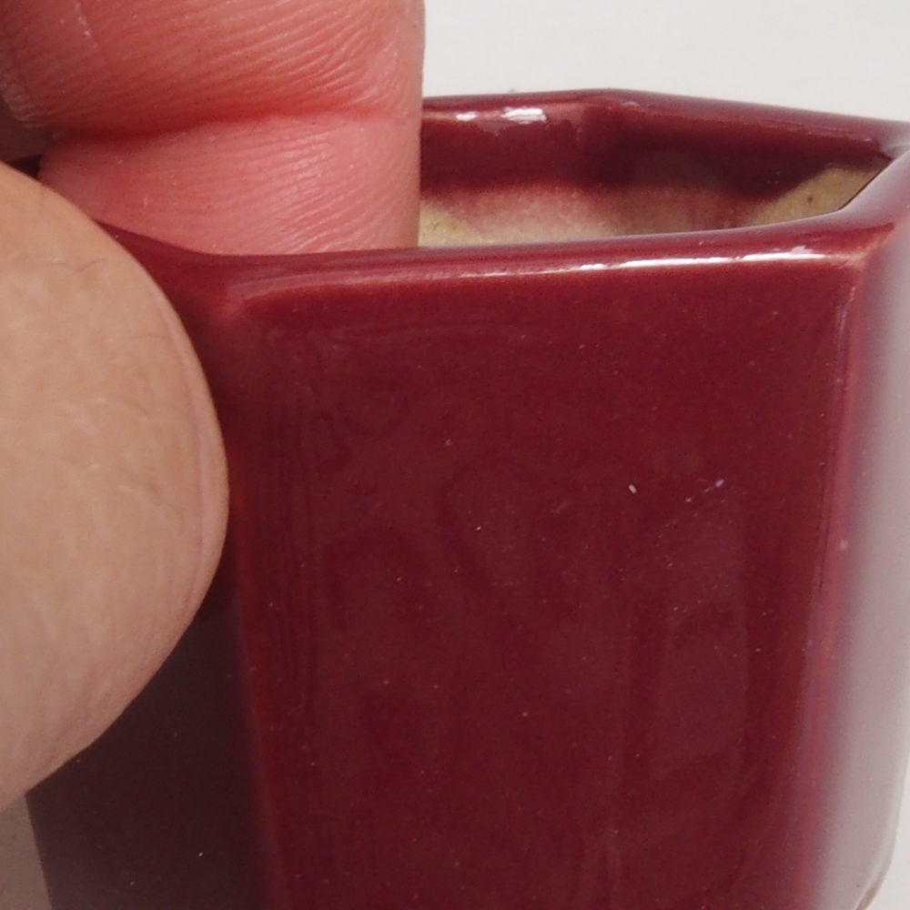 Mini-Bonsaischale 4 x 4 x 3,5 cm, bordeauxrot