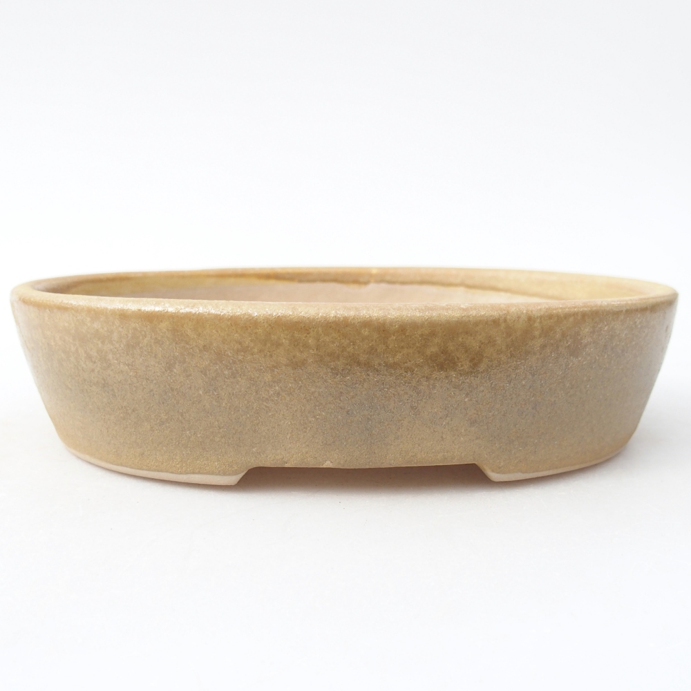 Bonsaischale aus Keramik 17 x 13,5 x 4 cm, Farbe beige