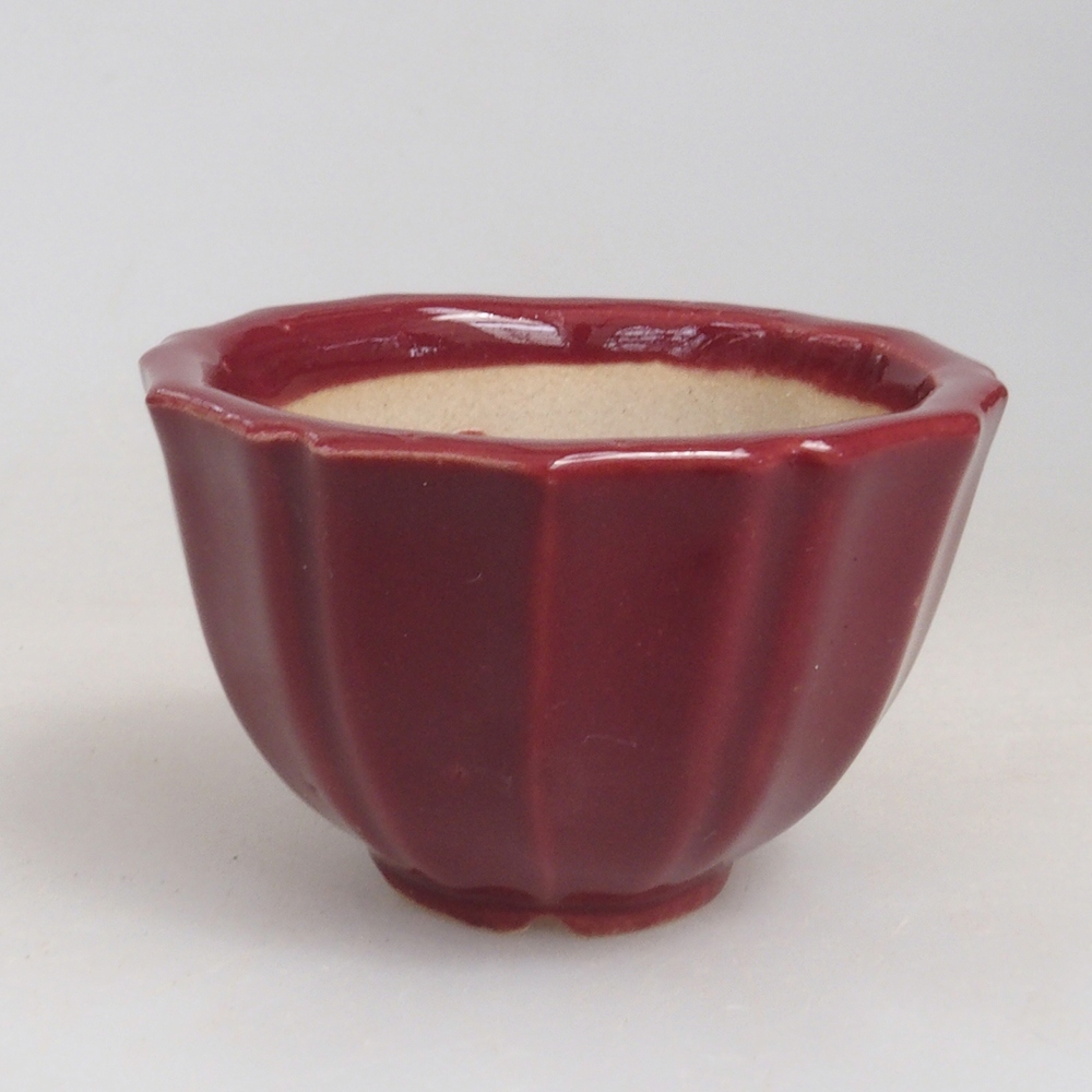 Mini-Bonsaischale 5 x 5 x 3 cm, bordeauxrot
