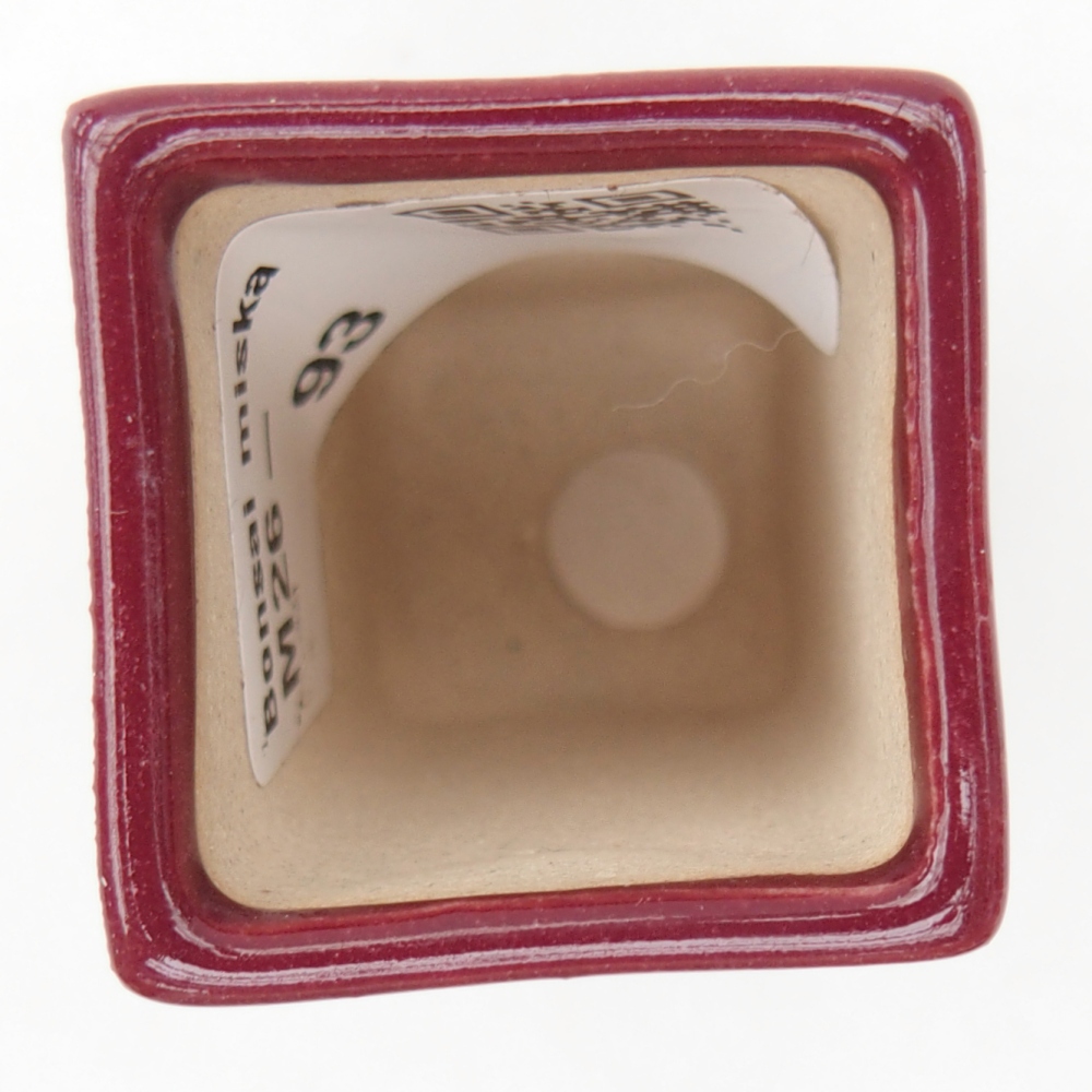 Mini-Bonsaischale 3 x 3 x 5,5 cm, bordeauxrot