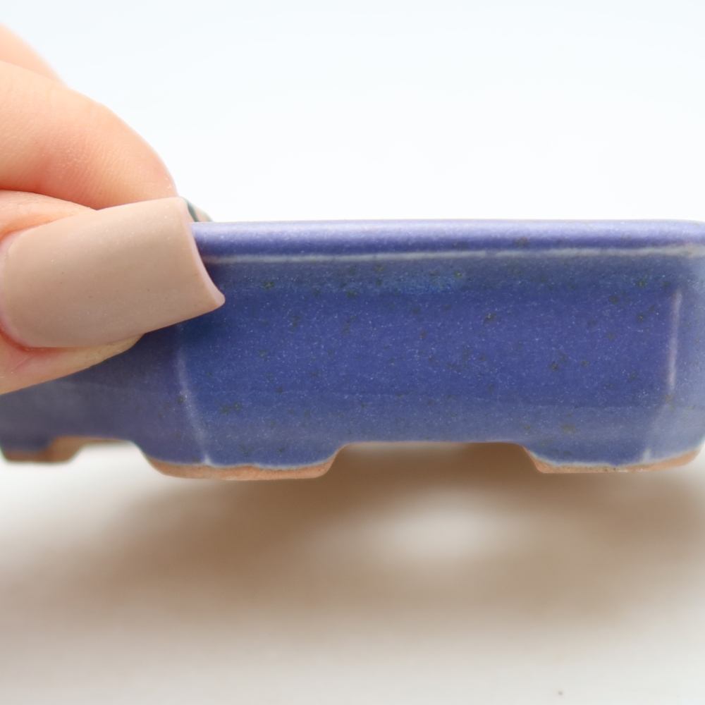Keramik-Bonsai-Schale, 11,5 x 11,5 x 2,5 cm, Farbe: Violett