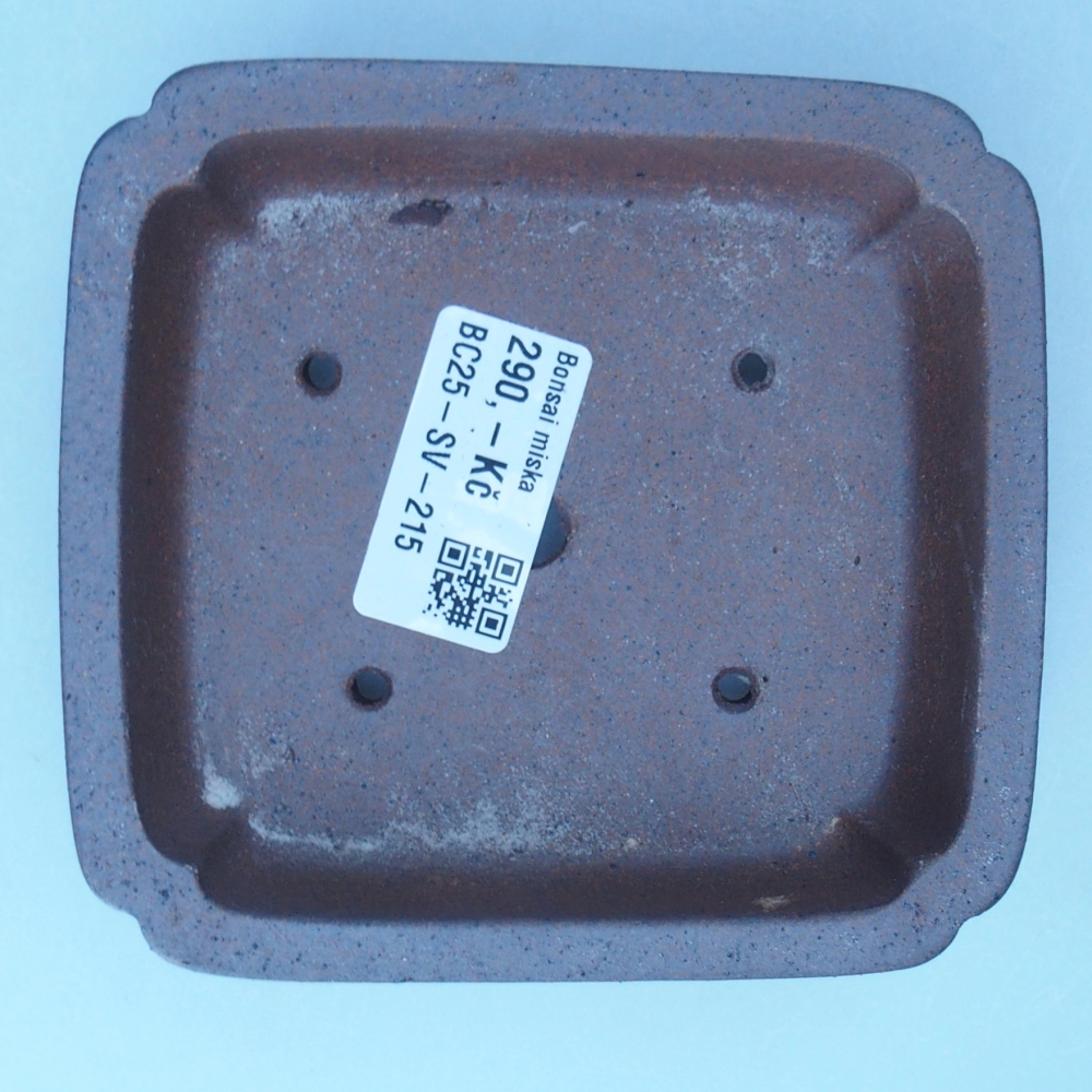 Schale 11,5 x 10,5 x 3,5 cm braun
