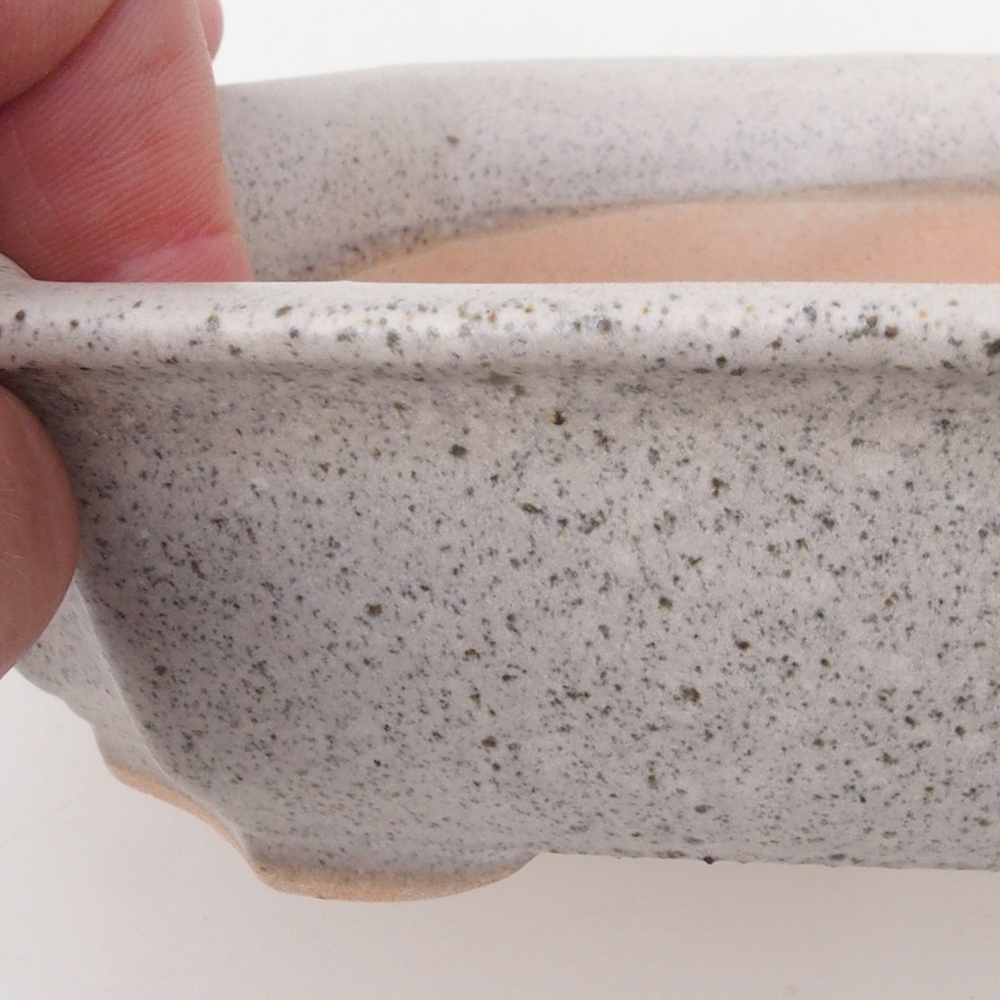 Bonsaischale H17 - 15 x 10 x 4 cm - beige