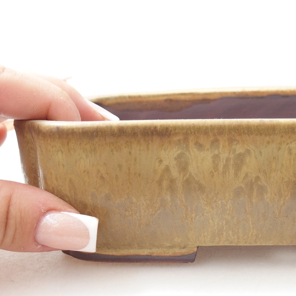 Bonsaischale aus Keramik 17,5 x 14 x 5 cm, grün