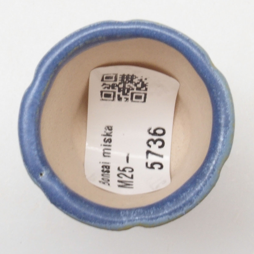 Mini-Bonsaischale 3,5 x 3,5 x 4 cm, Farbe blau