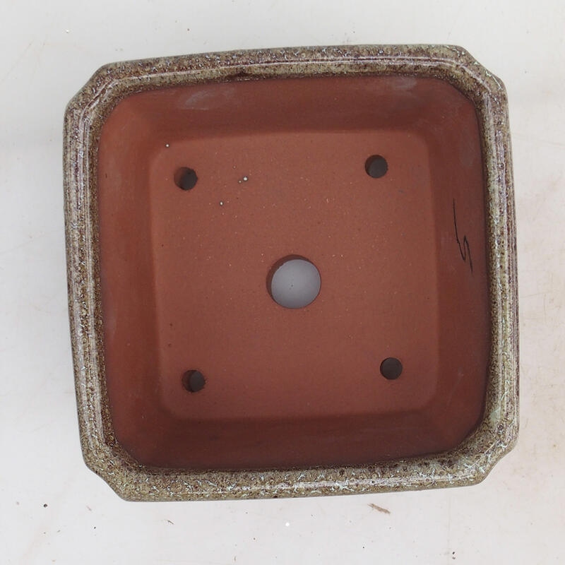 Bonsaischale 12 x 12 x 8 cm, braun