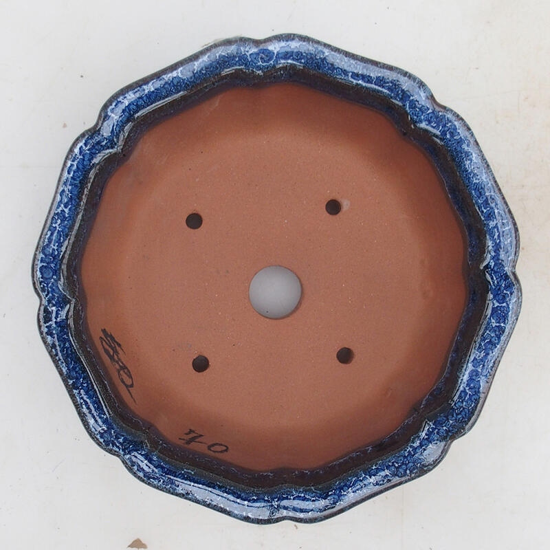 Bonsaischale 14 x 14 x 5,5 cm, Farbe blau