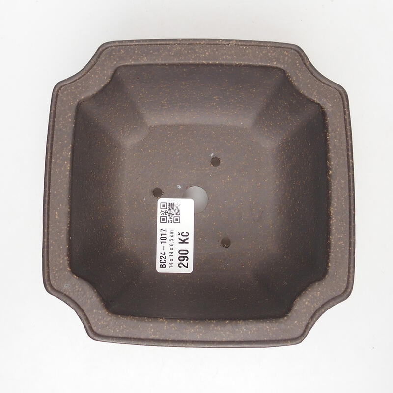 Bonsaischale 14 x 14 x 7 cm, Farbe bräunlich ocker