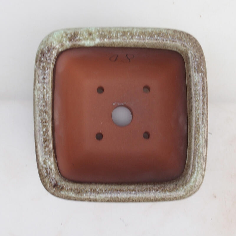 Bonsaischale 14 x 14 x 8 cm, Farbe weinrotbraun