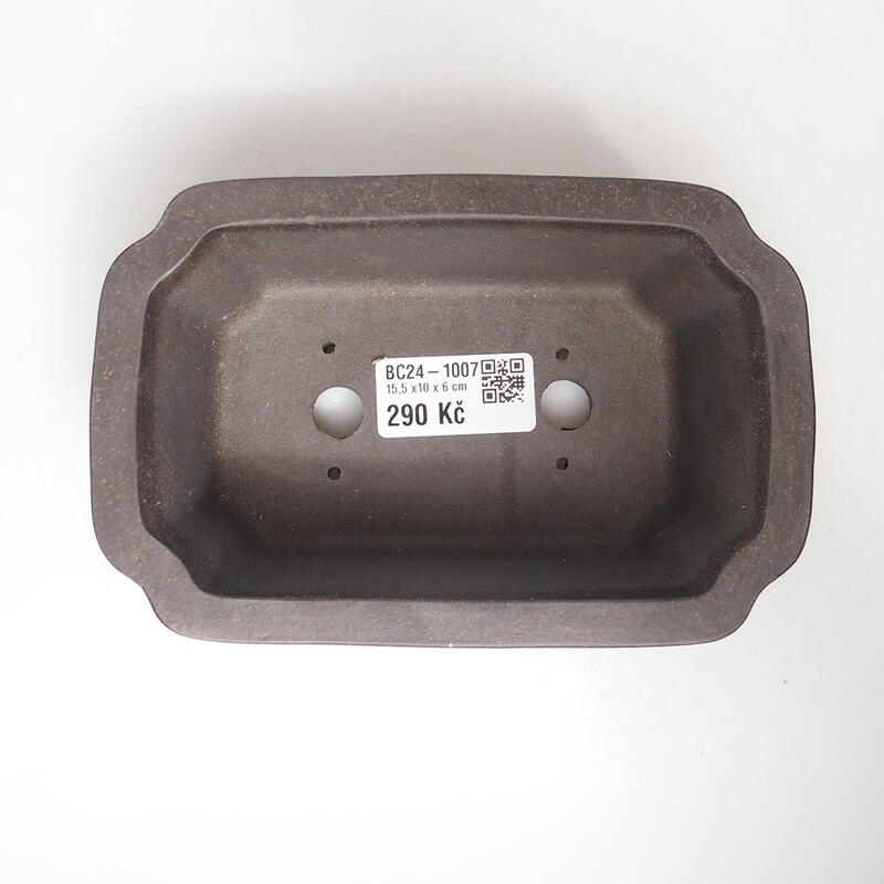 Bonsaischale 15 x 10 x 6 cm, bräunlich ocker