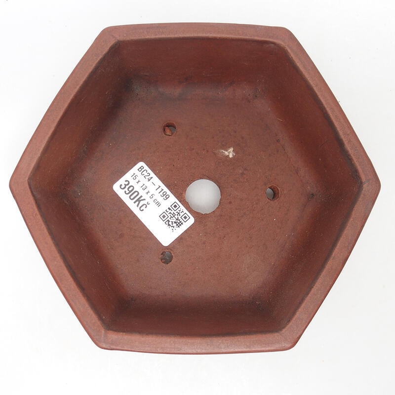 Bonsaischale 15 x 14 x 5,5 cm, braun