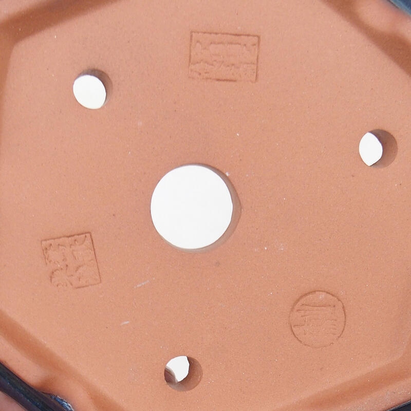 Bonsaischale 16 x 14 x 5 cm, Farbe blau