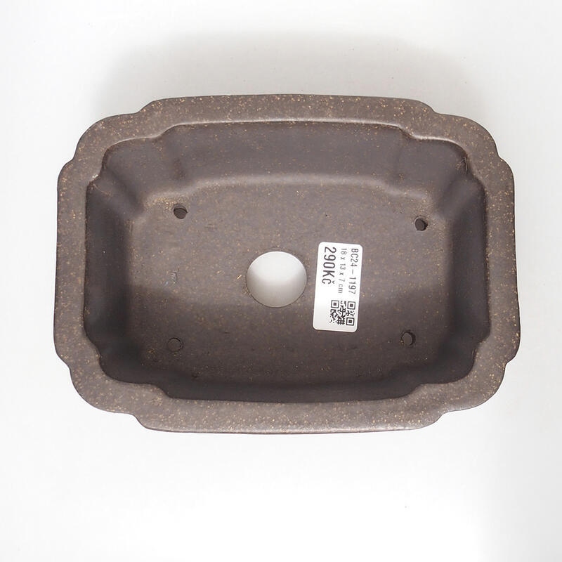 Bonsaischale 18 x 13,5 x 7 cm, Farbe bräunlich ocker