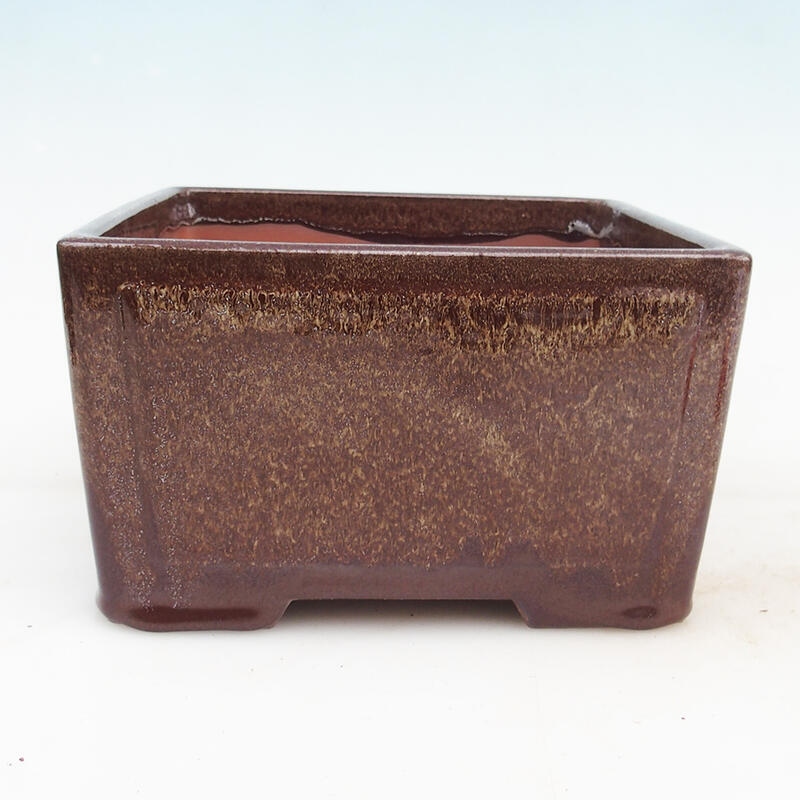 Bonsaischale 19,5 x 19,5 x 10 cm, Farbe braun