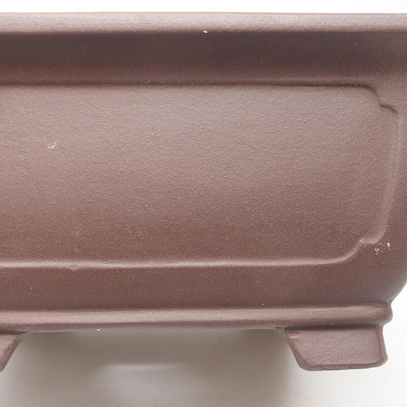 Bonsaischale 20,5 x 20,5 x 10 cm, Farbe braun