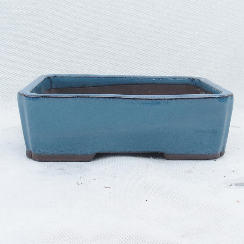 Bonsaischale 20 x 14 x 6,5 cm, Farbe blau