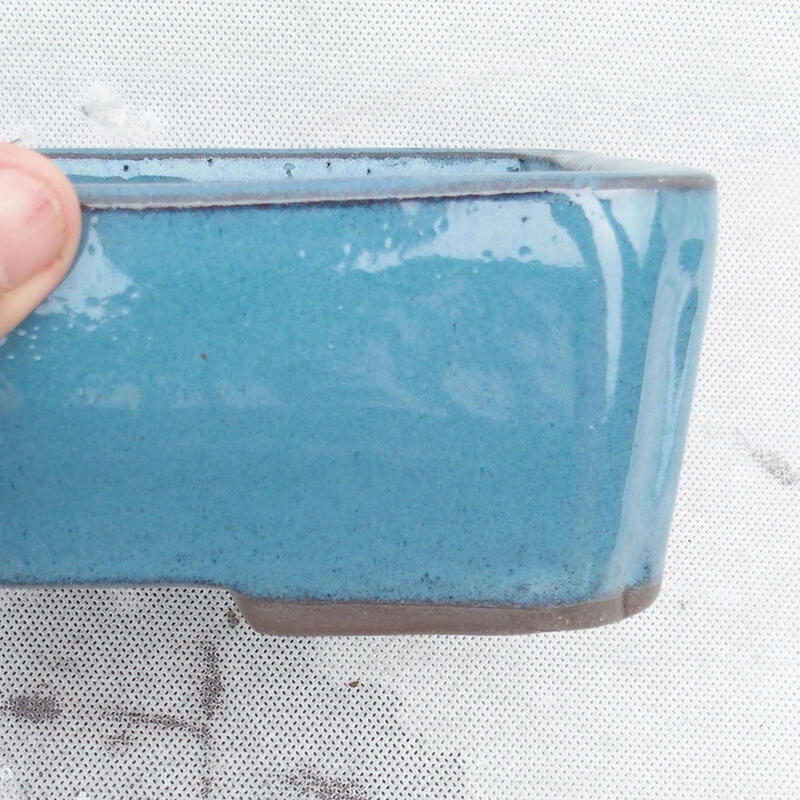 Bonsaischale 20 x 14 x 6,5 cm, Farbe blau