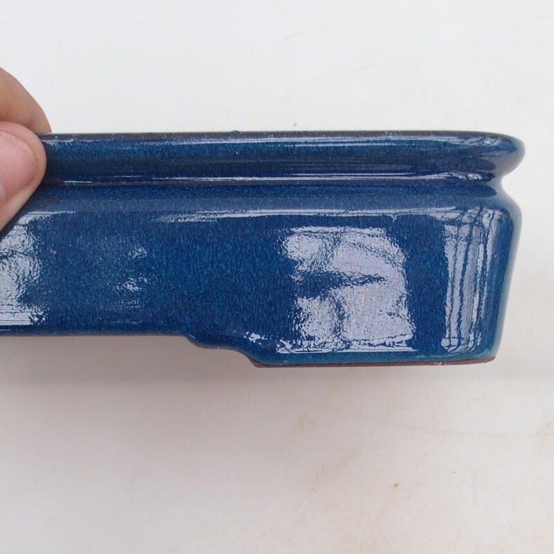 Bonsaischale 21,5 x 17 x 5,5 cm, Farbe blau