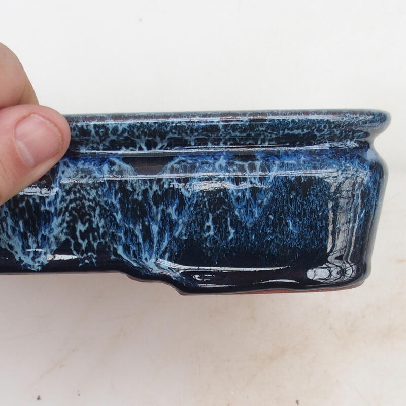 Bonsaischale 21,5 x 17 x 5,5 cm, Farbe blau-weiß