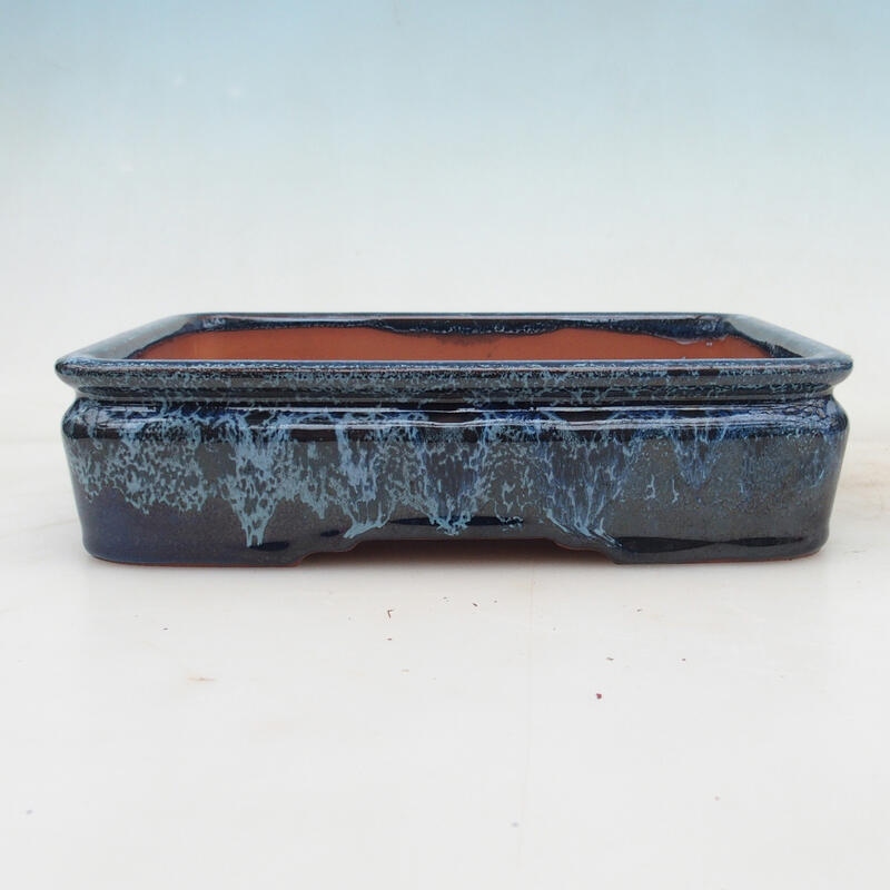 Bonsaischale 21,5 x 17 x 5,5 cm, Farbe blau-weiß