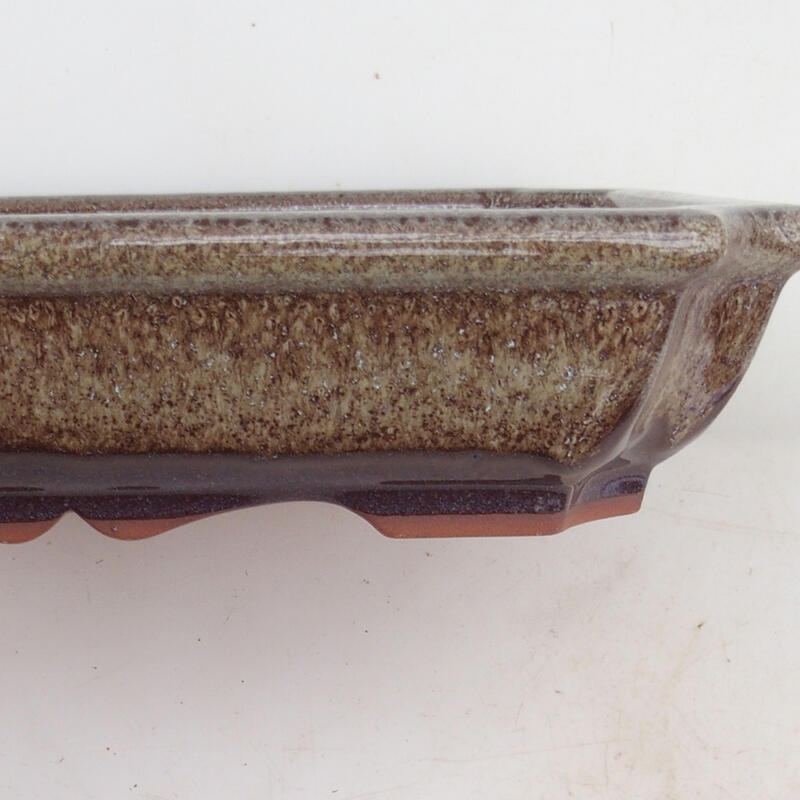 Bonsaischale 22 x 16,5 x 4 cm, braun