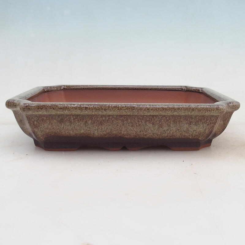 Bonsaischale 22 x 16,5 x 4 cm, braun