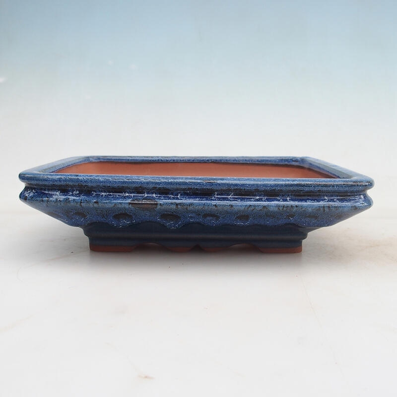 Bonsaischale 22 x 17 x 5,5 cm, Farbe blau