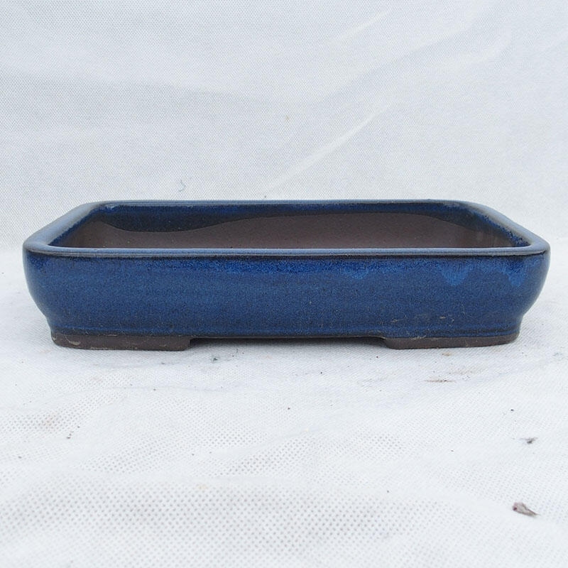 Bonsaischale 25 x 17 x 5 cm, Farbe blau