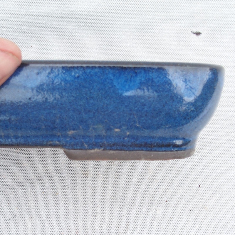 Bonsaischale 25 x 17 x 5 cm, Farbe blau