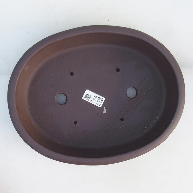 Bonsaischale 30,5 x 24 x 6 cm, braun