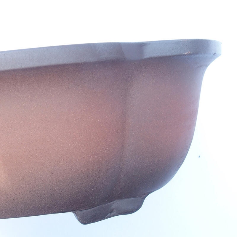 Bonsai-Schale 30 x 22 x 10 cm