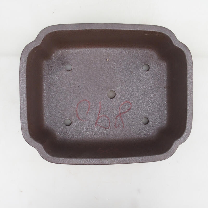 Bonsaischale 30 x 24,5 x 8 cm, naturfarben