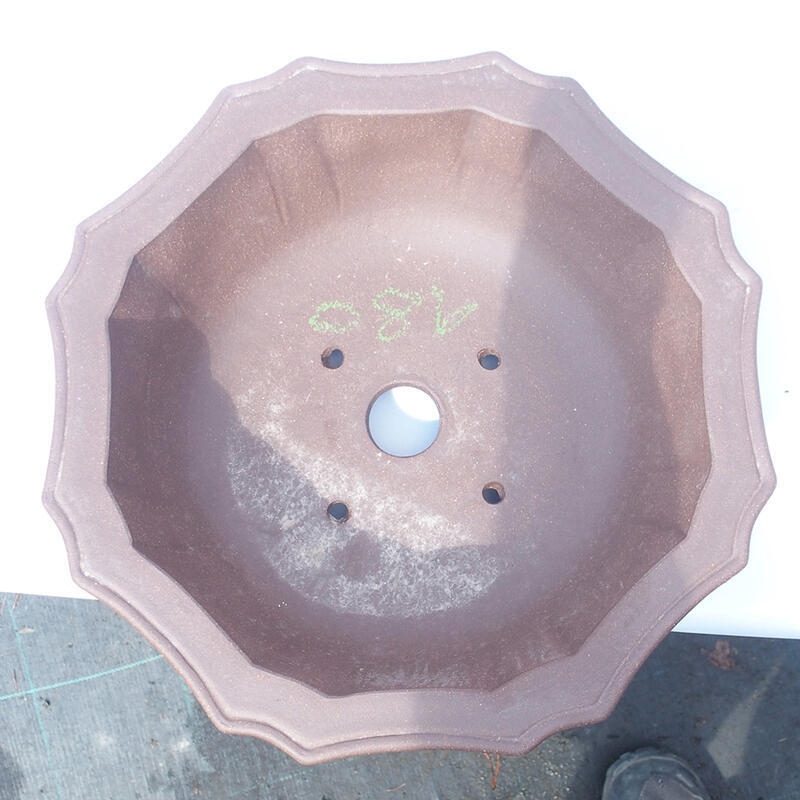 Bonsai-Schale 31 x 31 x 9 cm