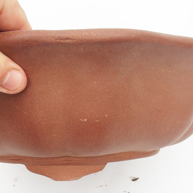 Bonsaischale 33 x 33 x 10 cm - japanische Qualität