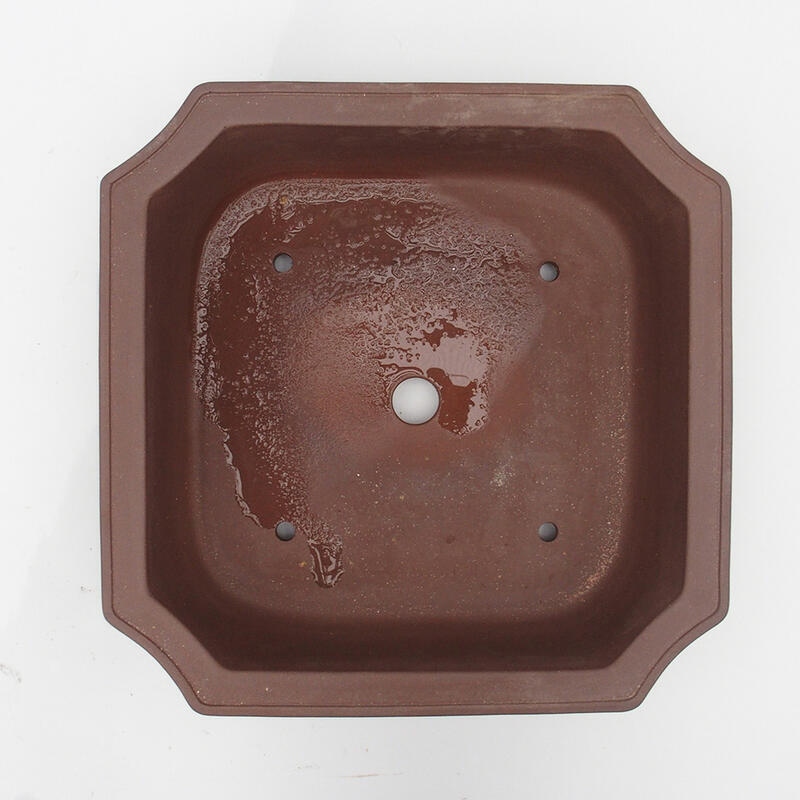 Bonsaischale 35 x 35 x 10 cm - japanische Qualität