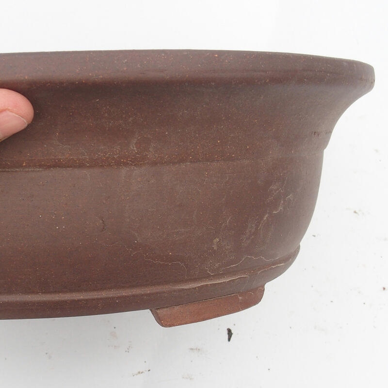 Bonsaischale 36 x 31 x 12 cm - japanische Qualität