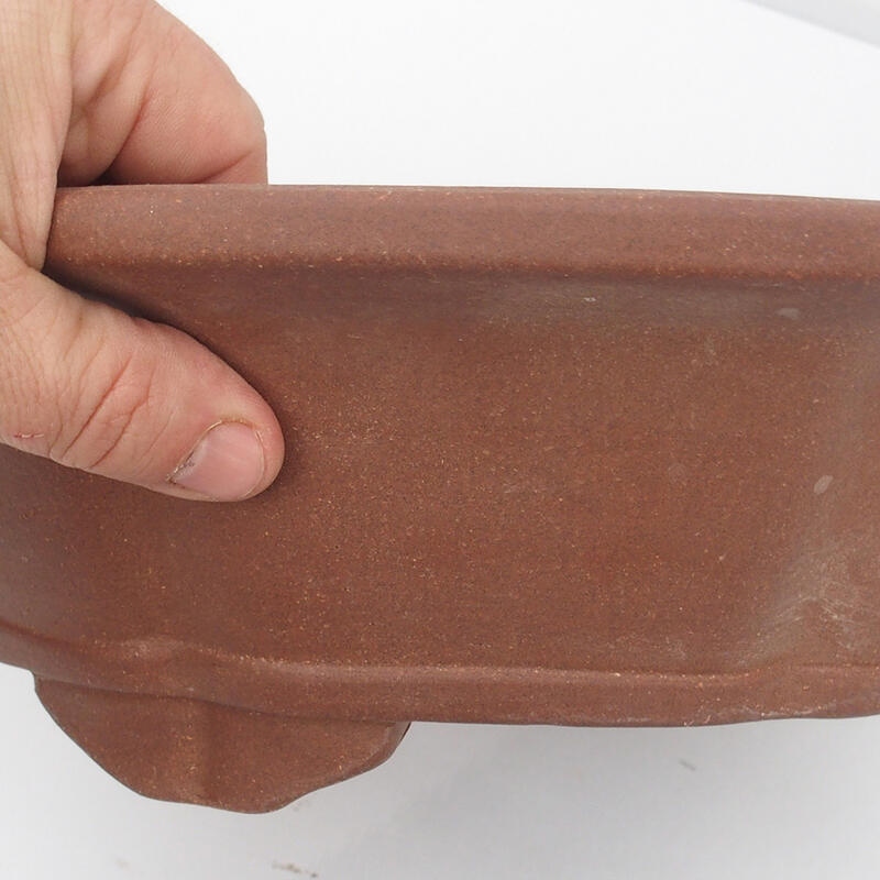 Bonsaischale 36 x 36 x 10 cm - japanische Qualität