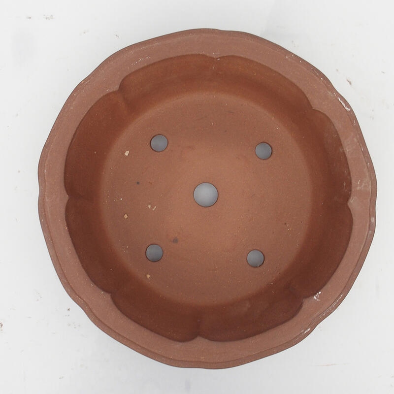 Bonsaischale 36 x 36 x 10 cm - japanische Qualität