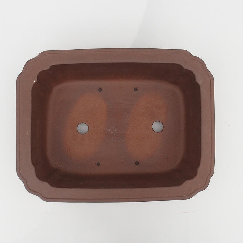 Bonsaischale 37 x 28,5 x 12,5 cm - Japanische Qualität