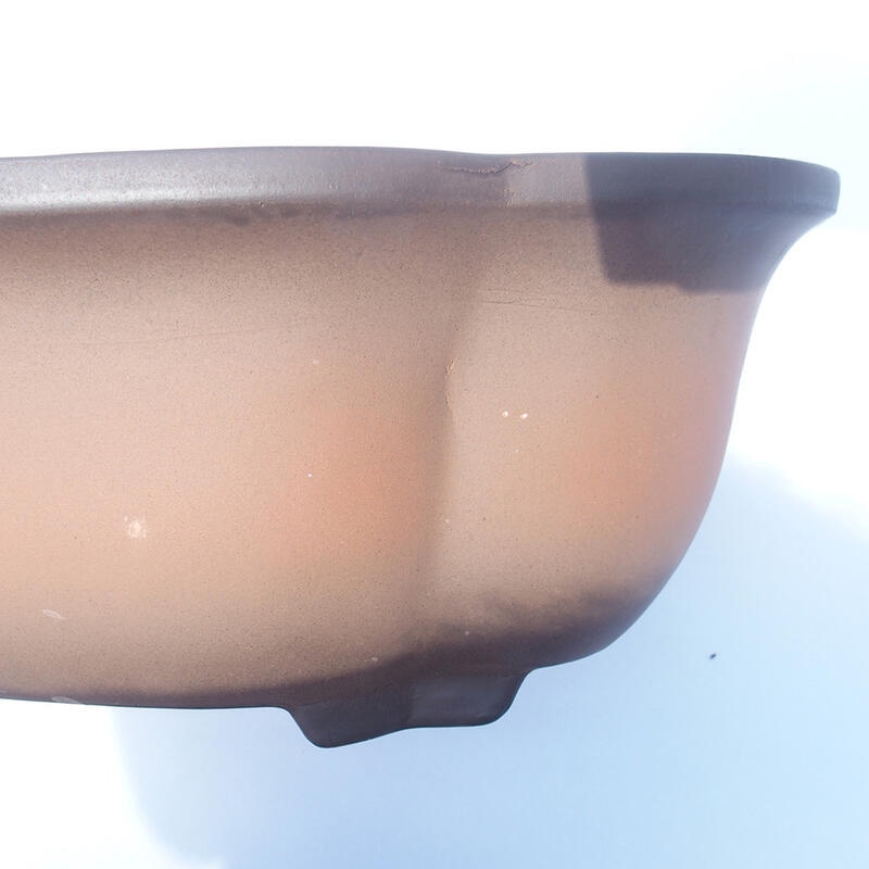 Bonsai-Schale 37 x 29 x 13 cm