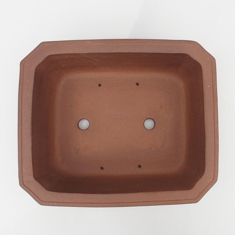 Bonsaischale 37 x 31 x 12 cm - Japanische Qualität