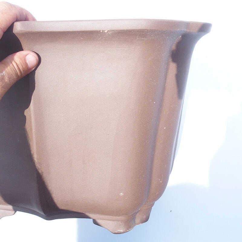 Bonsai-Schale 38 x 31 x 27 cm