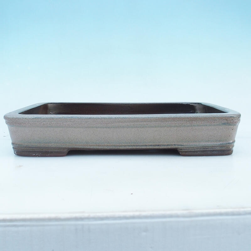 Bonsai-Schale 41 x 28 x 7 cm, Farbe: Beige