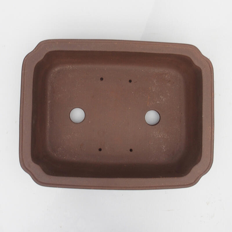 Bonsaischale 43 x 32 x 11 cm - japanische Qualität